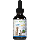 Healthy Gums for Canine Periodontal Health