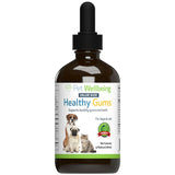 Healthy Gums for Feline Periodontal Health