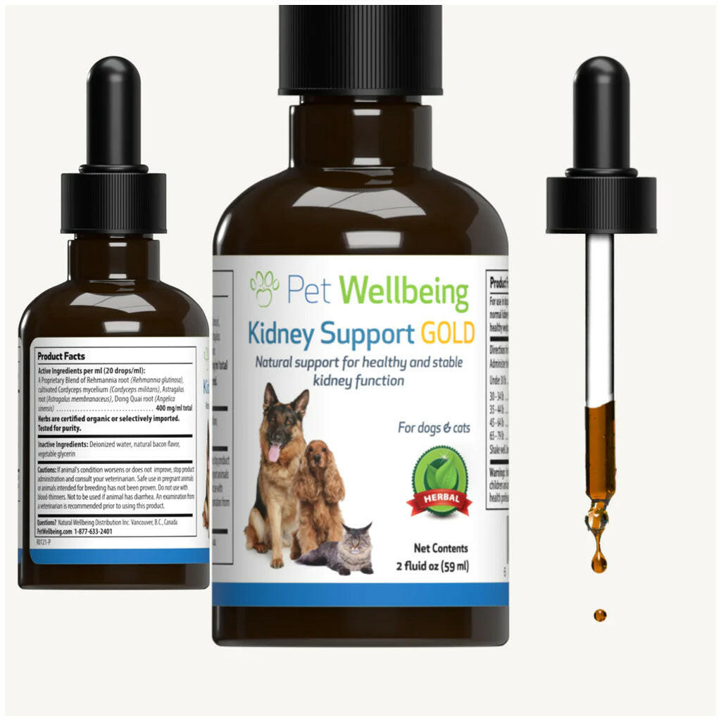 Pet Wellbeing Kidney Support Gold for Dogs & Cats