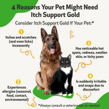 Pet Wellbeing Itch Support Gold - For Allergy-Related Itch in Dogs