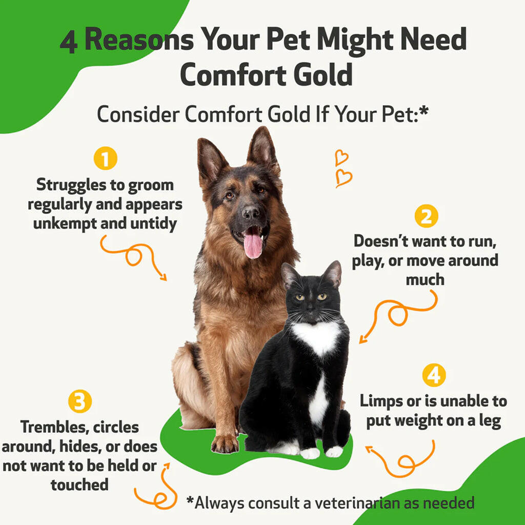 Comfort Gold for Occasional Physical Discomfort in Cats