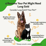 Pet Wellbeing Lung Gold for Cats