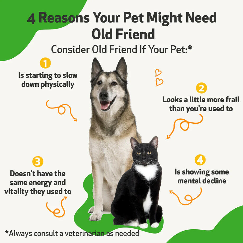 Pet Wellbeing Old Friend for Senior Cats