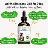 Adrenal Harmony Gold for Cushing's Disease in Dogs
