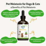 Pet Wellbeing Pet Melatonin for Dogs