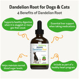 Dandelion Root Digestive & Liver Support for Dogs