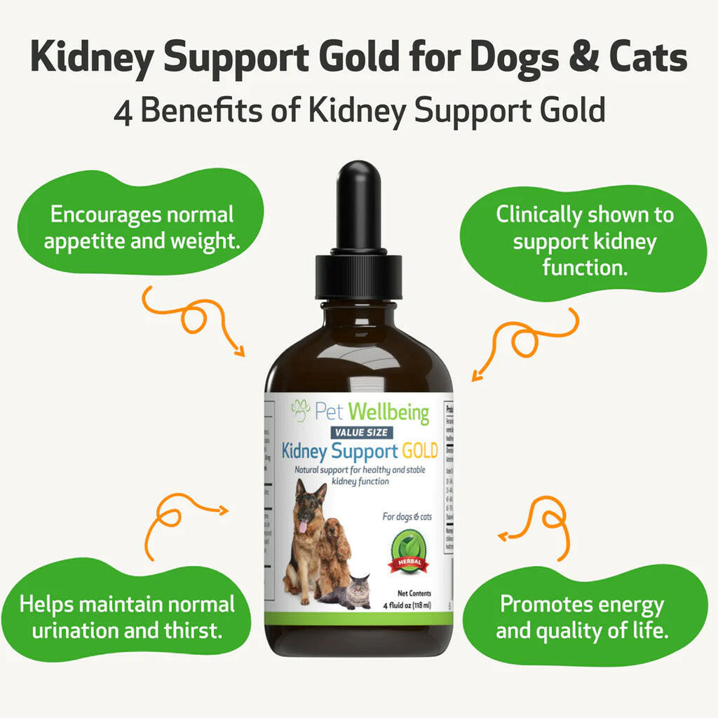Pet Wellbeing Kidney Support Gold for Dogs & Cats
