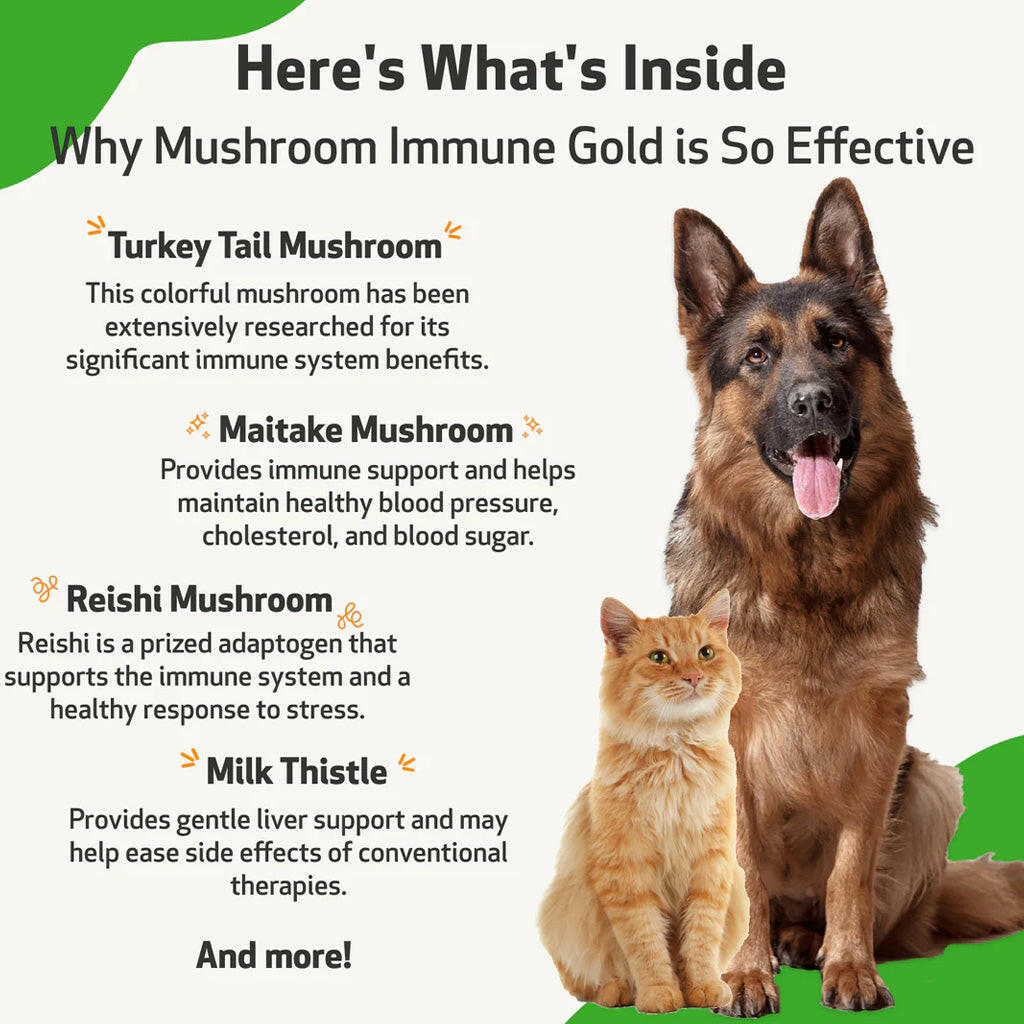 Mushroom Immune Gold - Holistic Cancer Support for Dogs (8 oz)