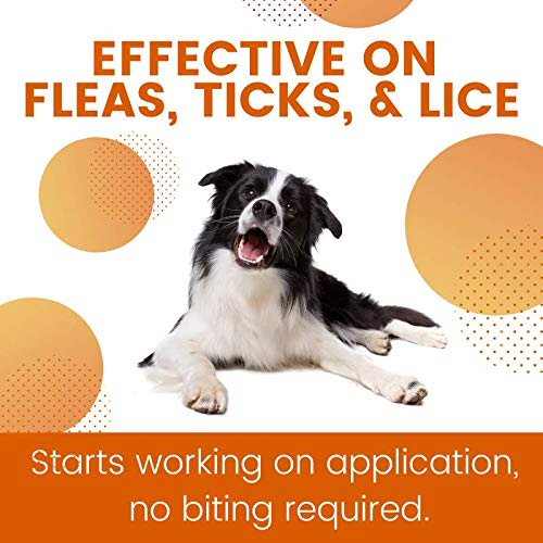 ZoGuard Plus for Dogs - Medium 23 - 44 lb. - 3 applications