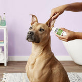 Zymox Otic Ear Treatment without Hydrocortisone
