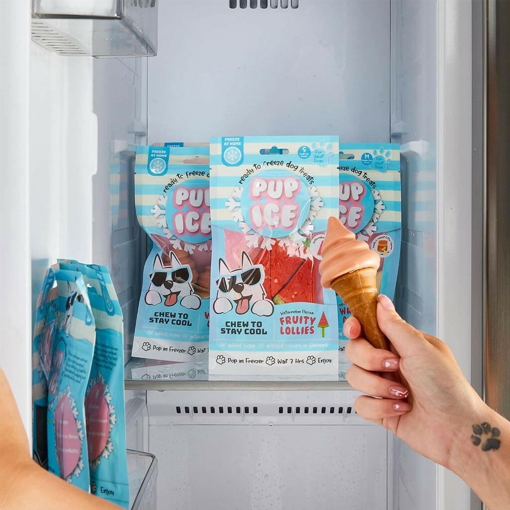 Ethical Pup Ice Waffle Cone Ready to Freeze Dog Treats, 2 pack