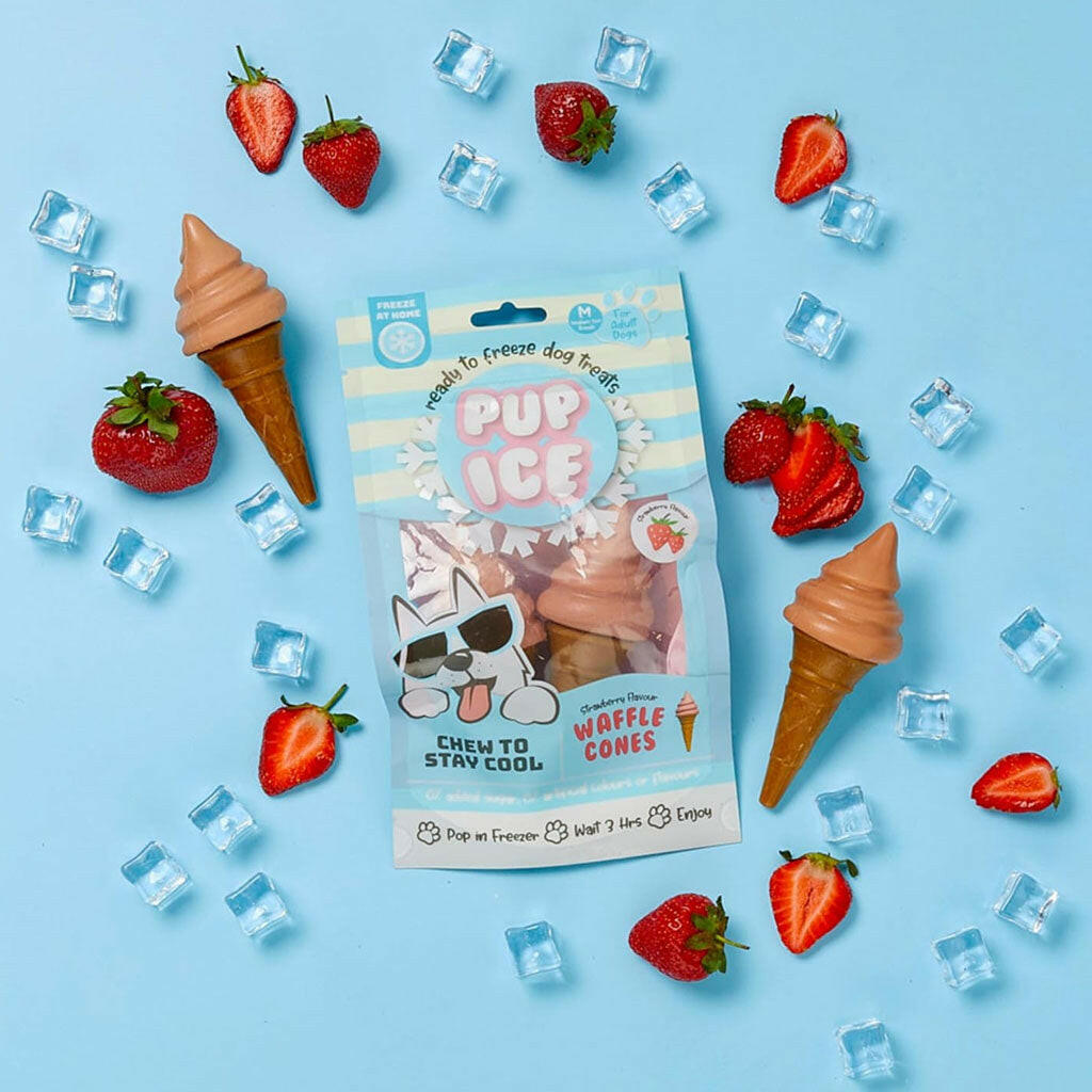 Ethical Pup Ice Waffle Cone Ready to Freeze Dog Treats, 2 pack
