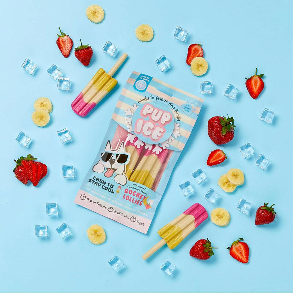 Ethical Pup Ice Rocket Lollies Ready to Freeze Dog Treats, 2 pack