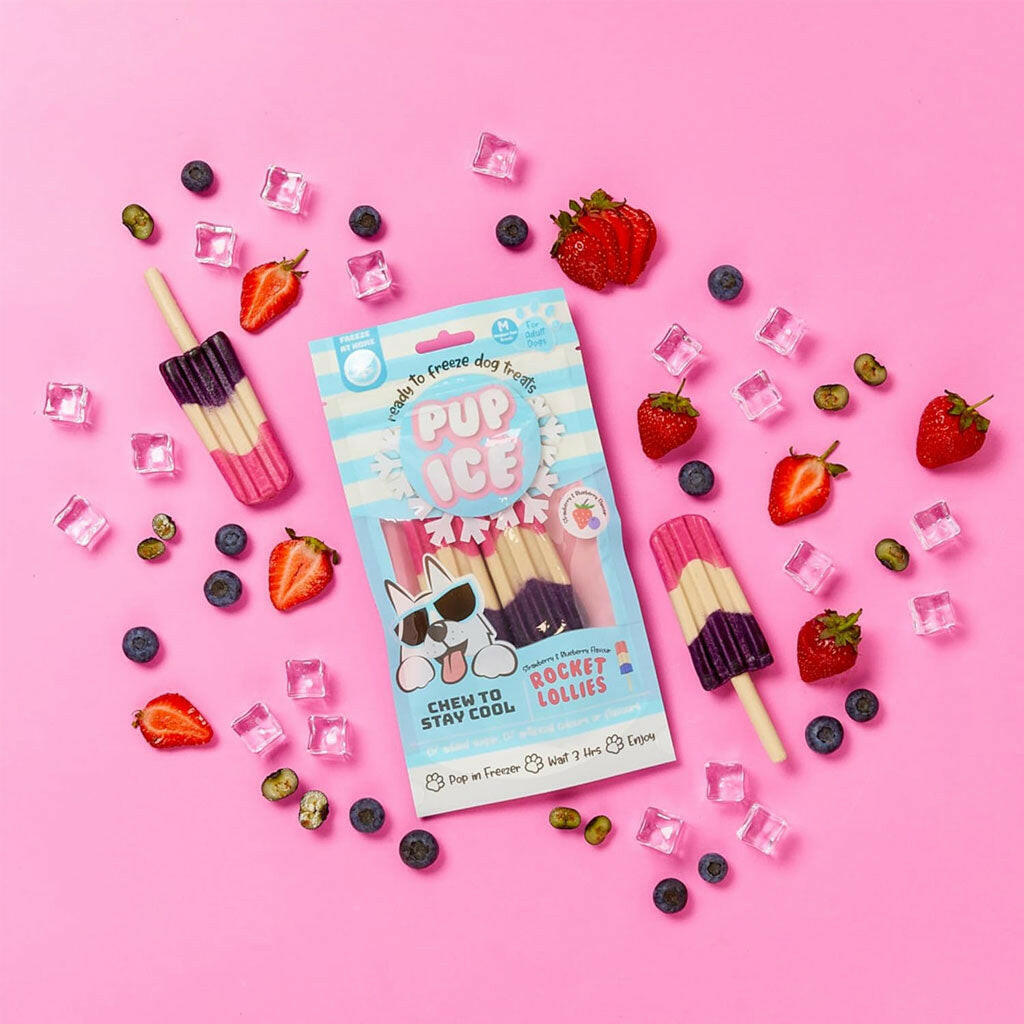 Ethical Pup Ice Rocket Lollies Ready to Freeze Dog Treats, 2 pack