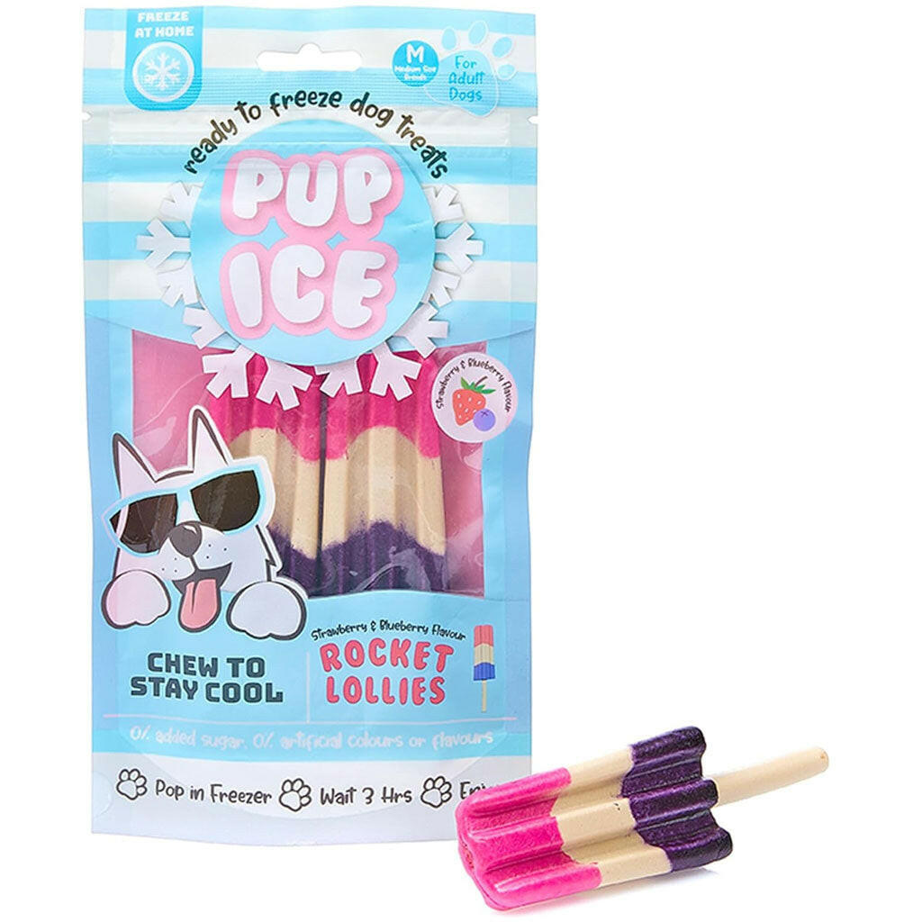 Ethical Pup Ice Rocket Lollies Ready to Freeze Dog Treats, 2 pack