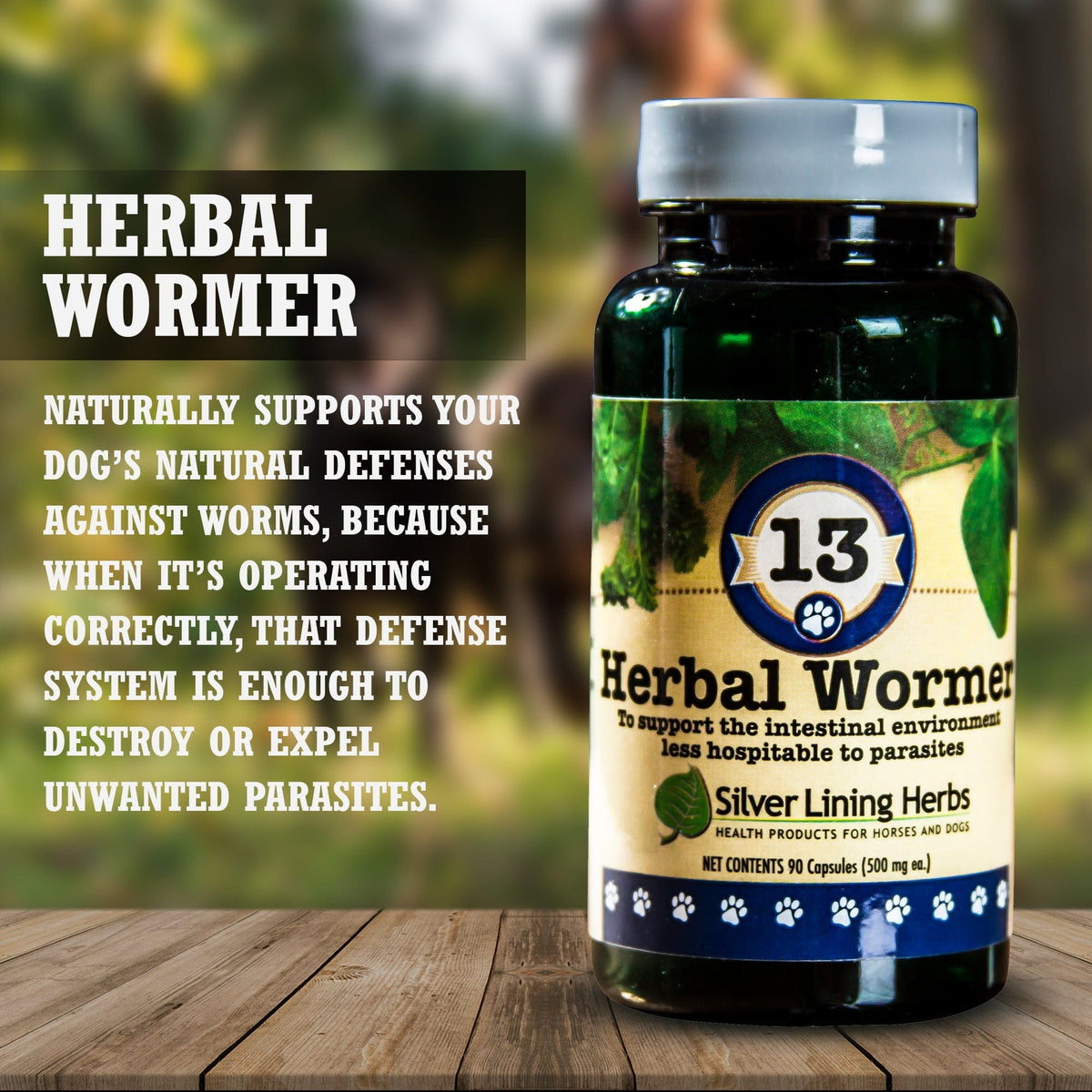 13 Herbal Wormer for Canines -90 Capsule