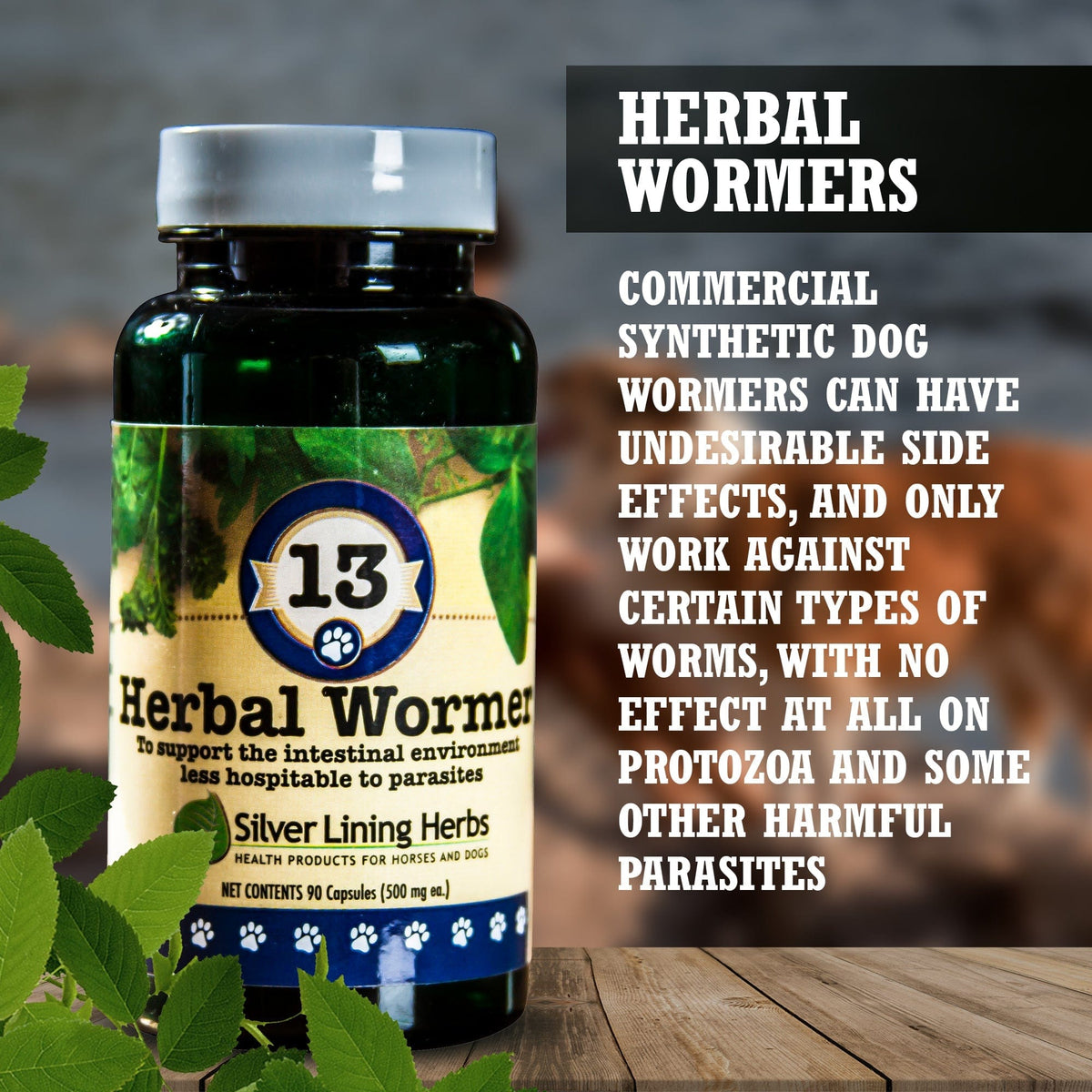 13 Herbal Wormer for Canines -90 Capsule