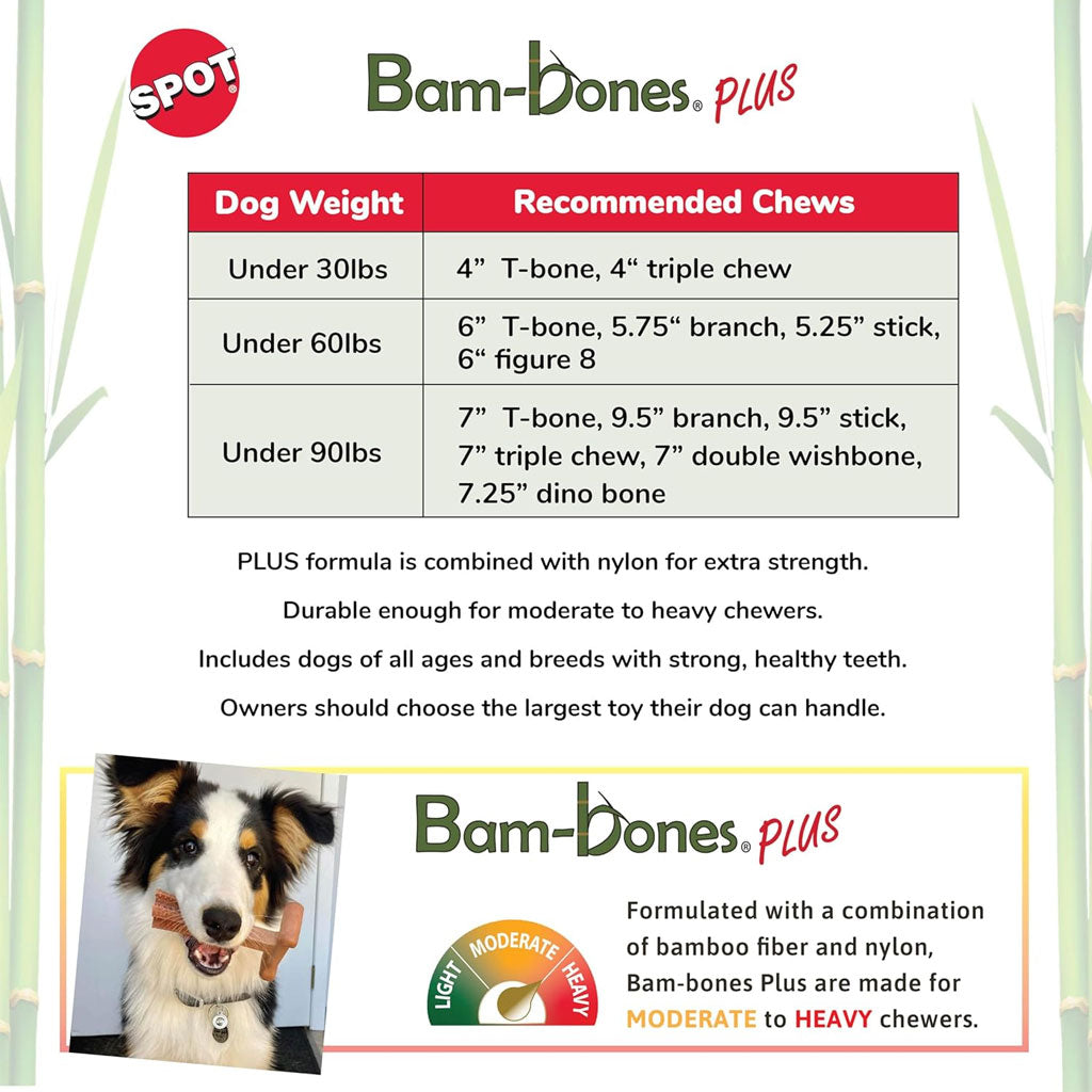 Spot Bam-Bones Plus Chicken Flavor Dog Chew Toy