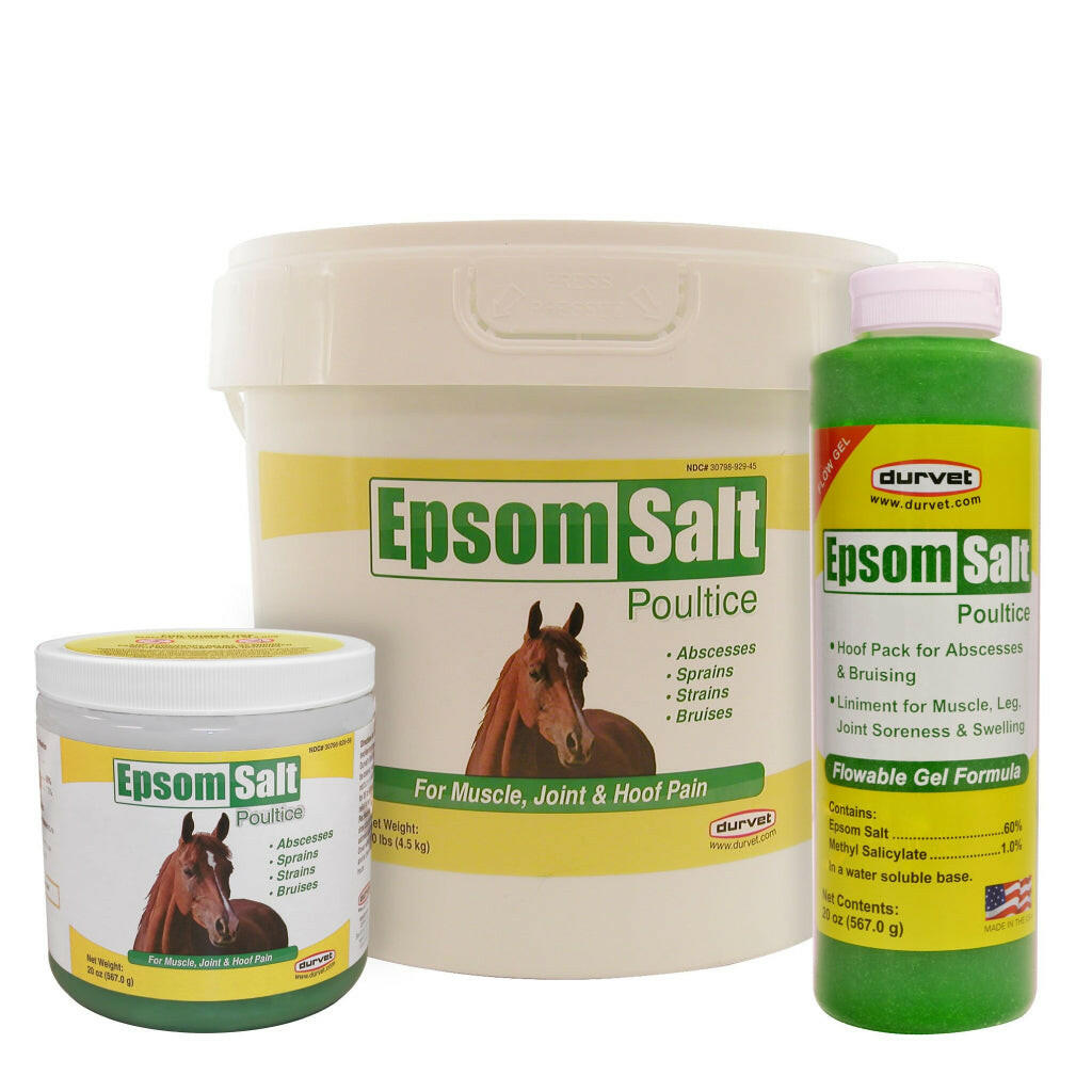 Durvet Epsom Salt Poultice for Horses