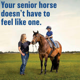 Absorbine Bute-Less Comfort & Recovery Solution Supplement for Horses