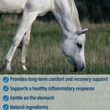 Absorbine Bute-Less Pellets Comfort & Recovery Supplement for Horses