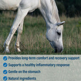 Absorbine Bute-Less Comfort & Recovery Solution Supplement for Horses