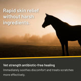 Absorbine Silver Honey Rapid Skin Relief Vet Strength Scratches Spray for Horses