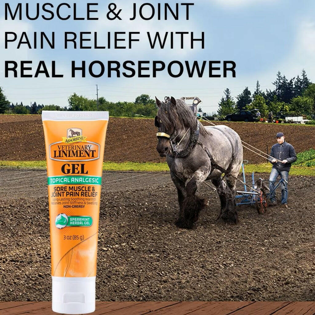 Absorbine Veterinary Liniment Gel – Spearmint Topical Analgesic for Horses – Sore Muscle & Joint Pain Relief (3 oz / 12 oz)