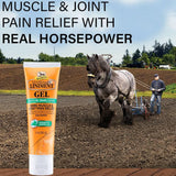 Absorbine Veterinary Liniment Gel – Spearmint Topical Analgesic for Horses – Sore Muscle & Joint Pain Relief (3 oz / 12 oz)