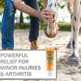 Absorbine Veterinary Liniment Gel – Spearmint Topical Analgesic for Horses – Sore Muscle & Joint Pain Relief (3 oz / 12 oz)