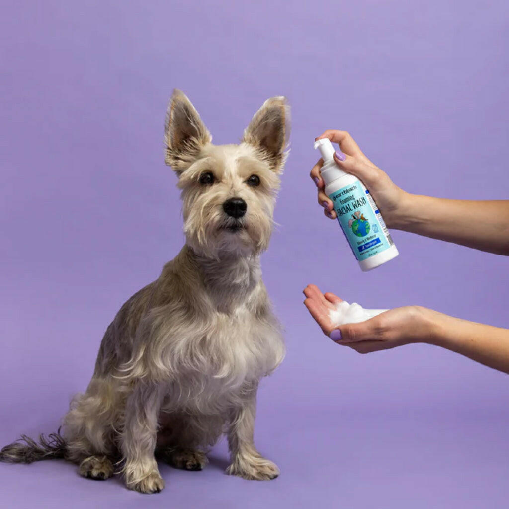 Earthbath Bilberry & Blueberry Foaming Facial Wash for Dogs & Cats (8 oz)