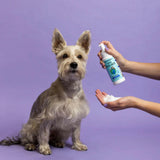 Earthbath Bilberry & Blueberry Foaming Facial Wash for Dogs & Cats (8 oz)