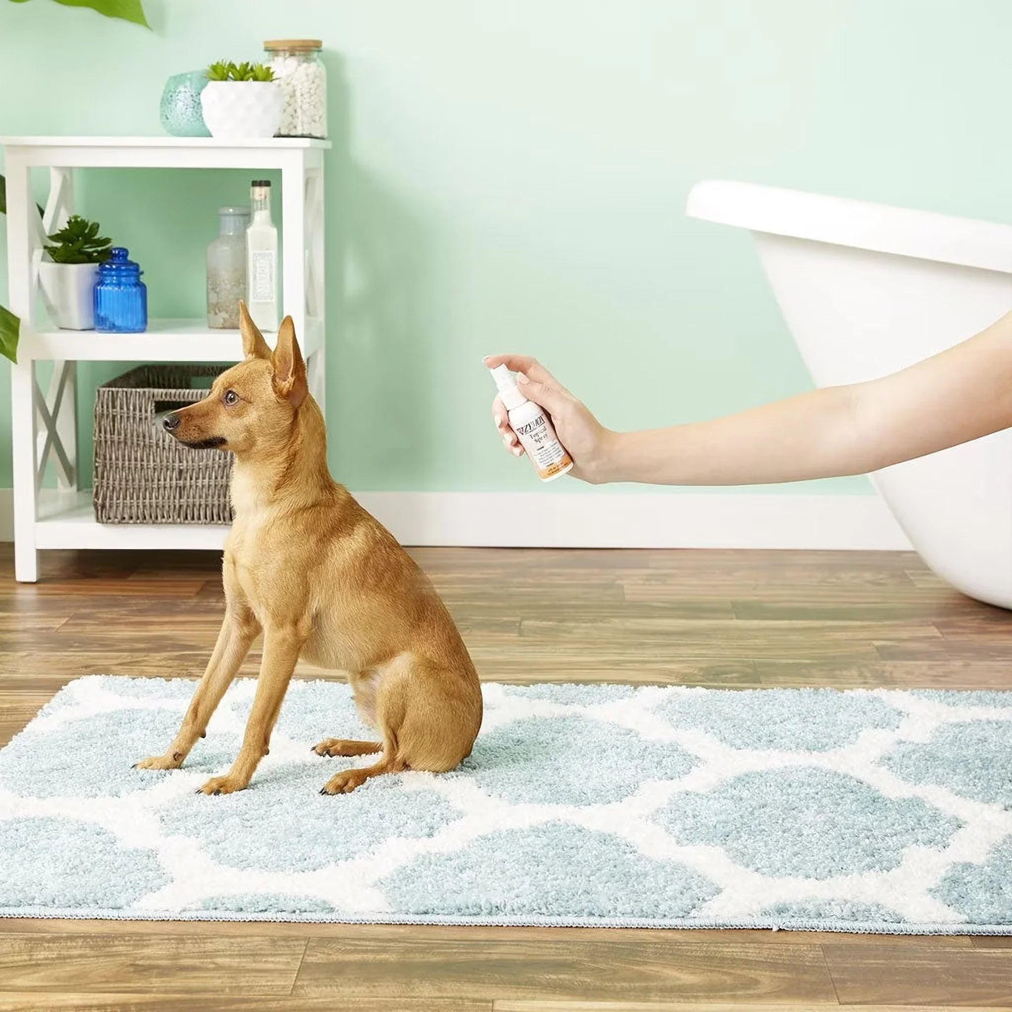 Zymox Topical Spray Hydrocortisone Free for Dogs & Cats