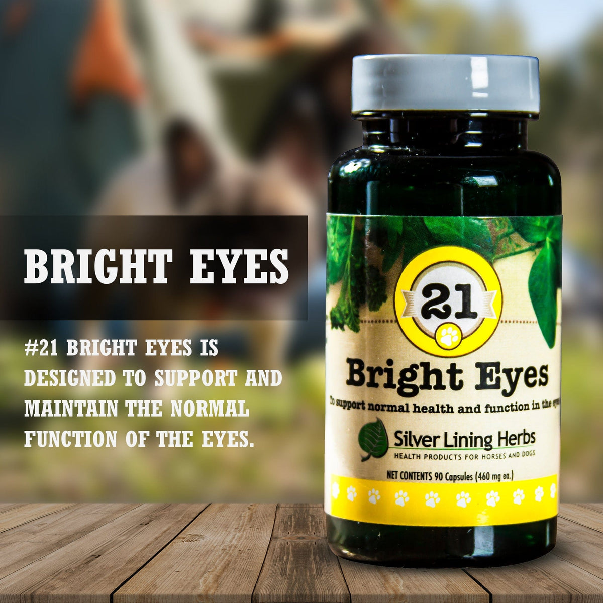 21 Bright Eyes for Canines