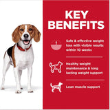 Hill's Science Diet Adult Perfect Weight Small Bites Dry Dog Food, Chicken Recipe