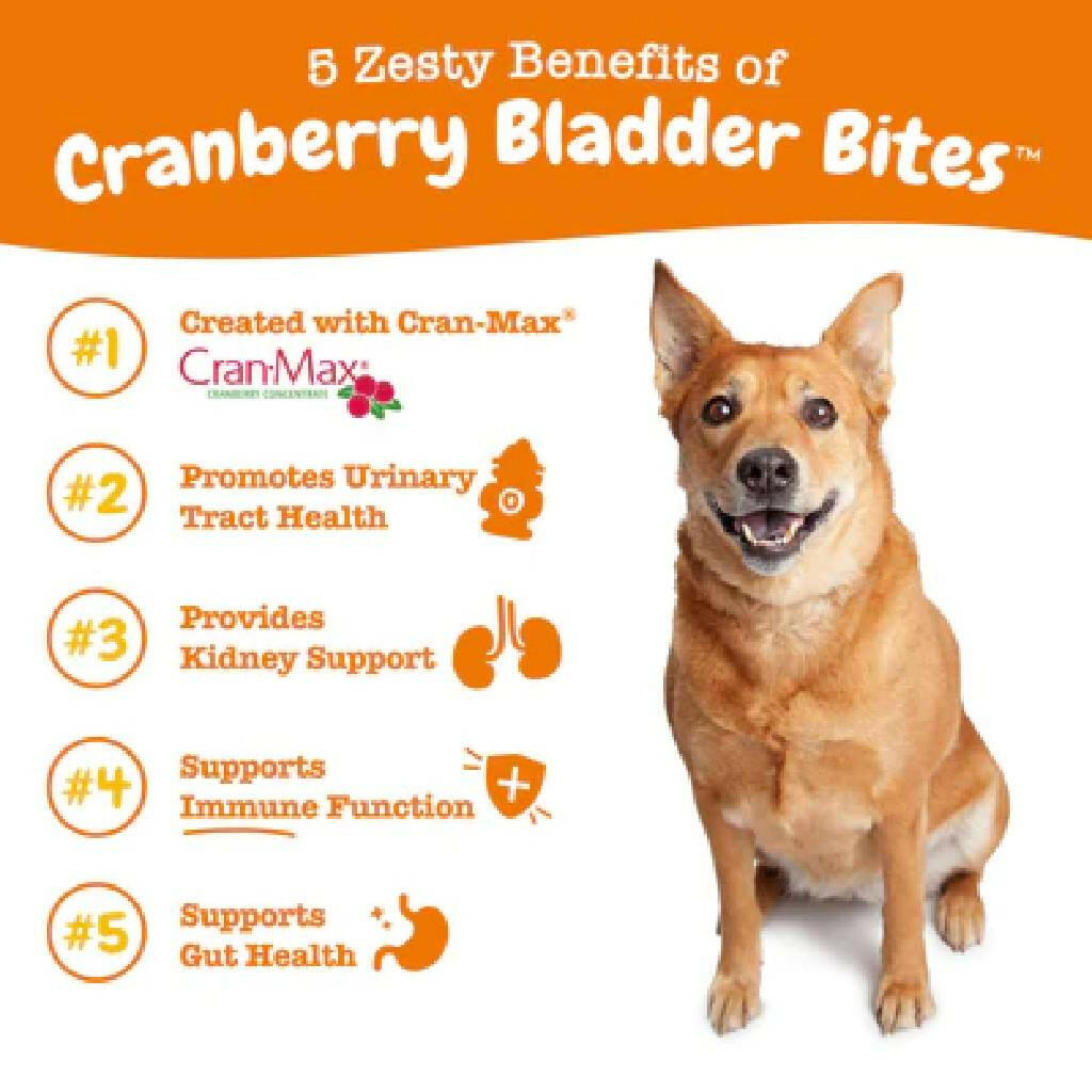 Zesty Paws Cranberry Bladder Bites Chicken Flavor Chews for Dogs (90 ct)