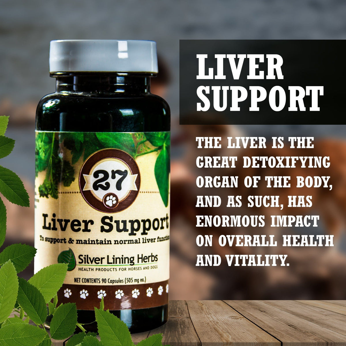 Liver Support for Canines