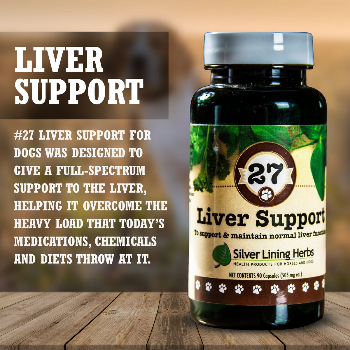 Liver Support for Canines