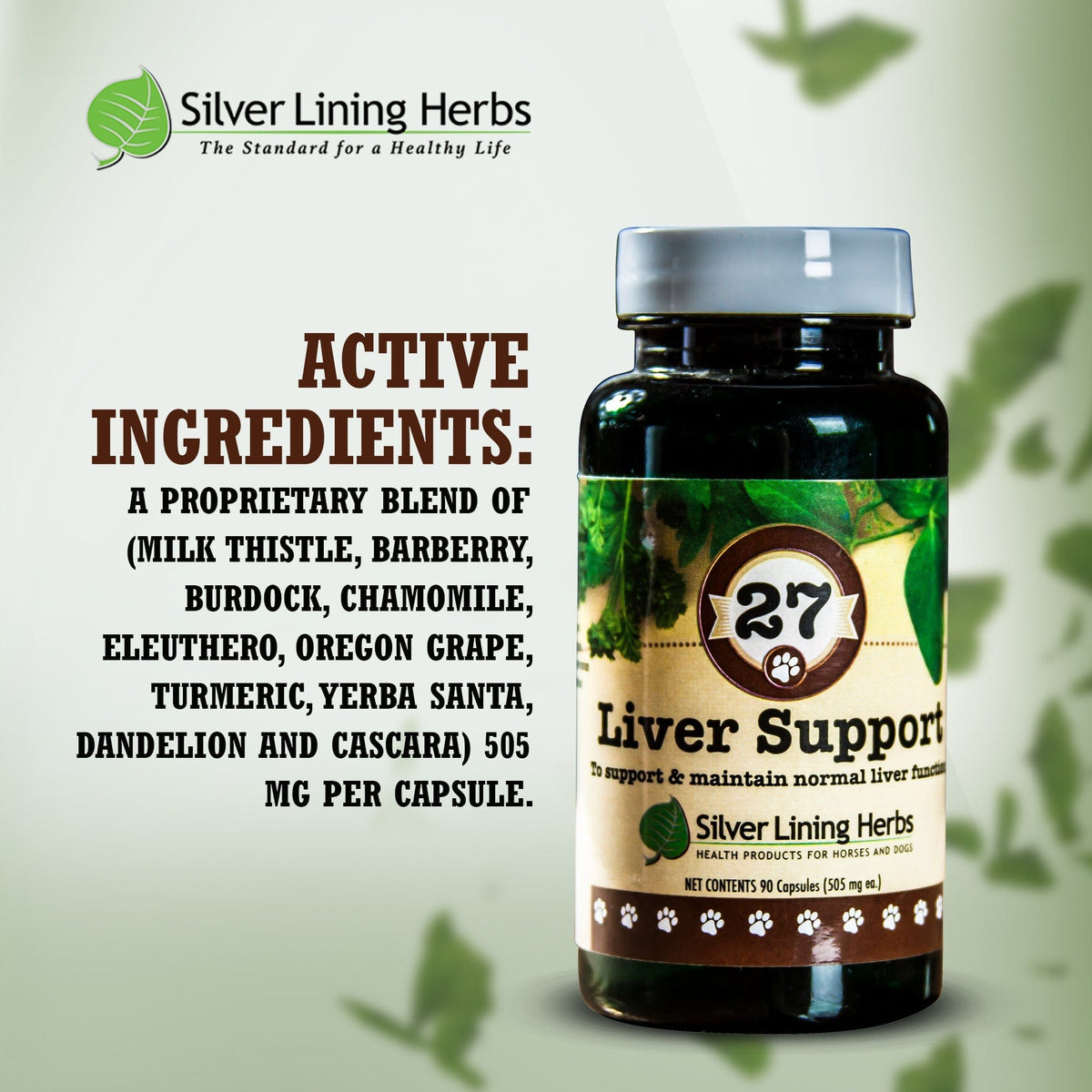 Liver Support for Canines
