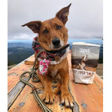 360 Pet Nutrition Beef Liver Freeze-Dried Raw Dog Food, 4-oz