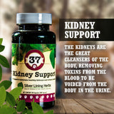 Kidney Support for Canines