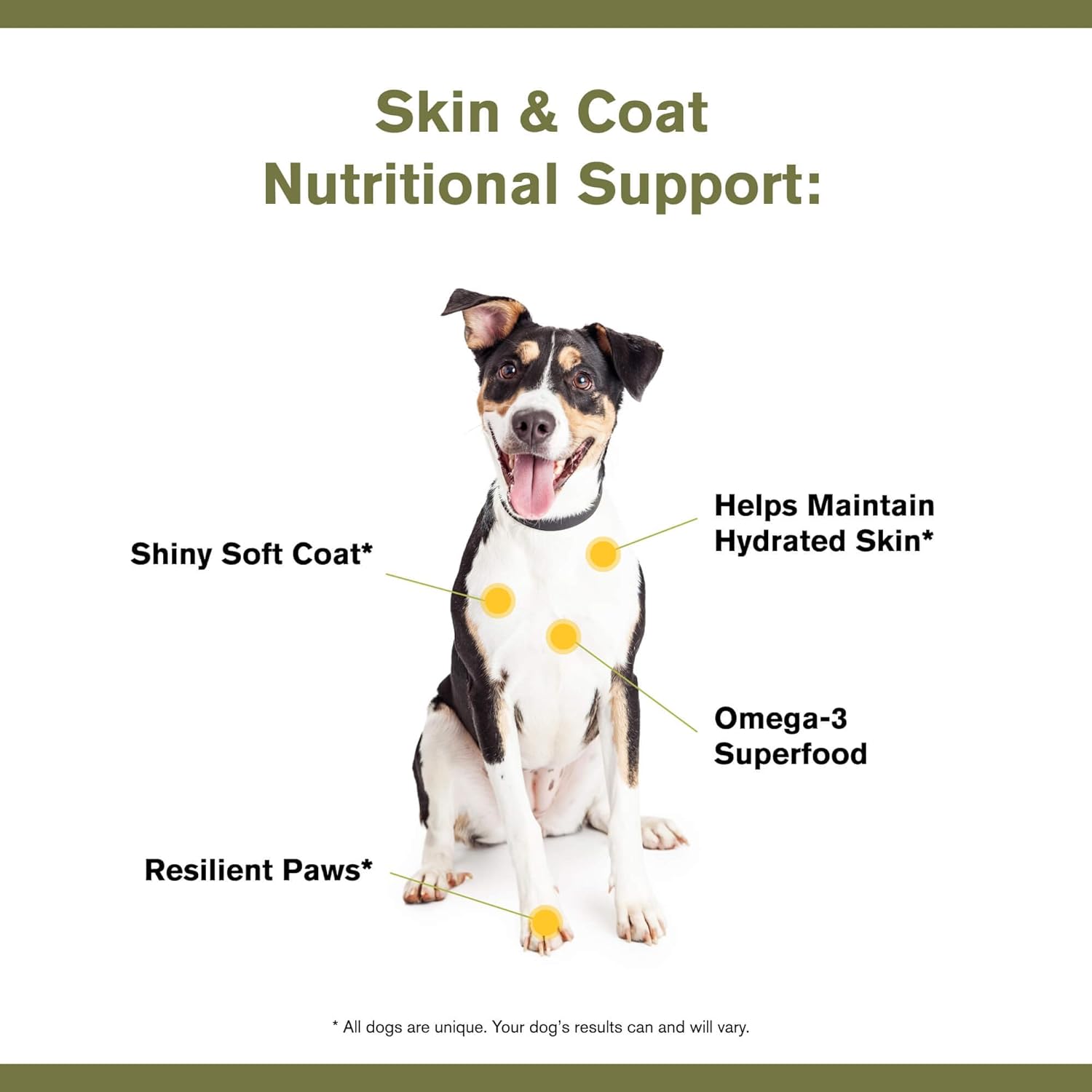 Badlands Ranch Skin & Coat Canine Supplement with Omega-3 Fatty Acids, 3.17-oz