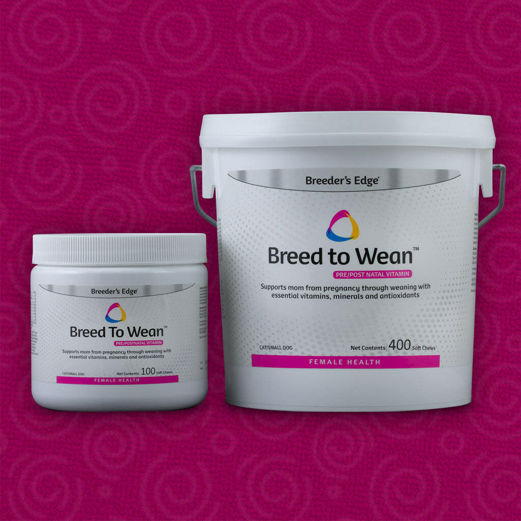Breeder's Edge Breed To Wean for Cats & Small Dogs