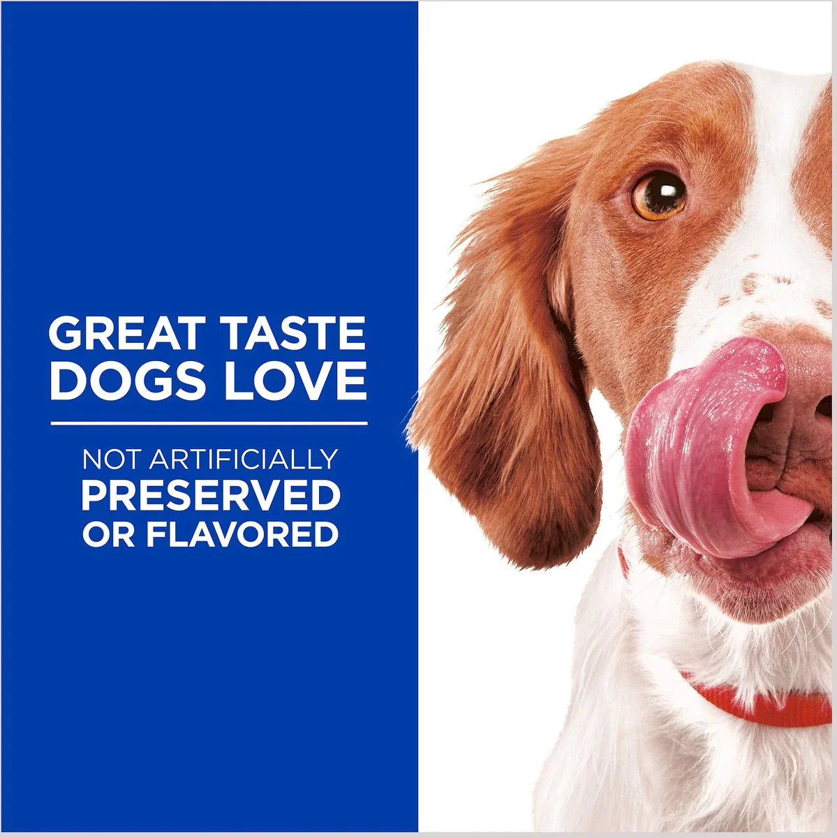 Hill's Natural Grain Free treats for dogs with Chicken & Apples, Crunchy Dog Treat, 8 oz bag