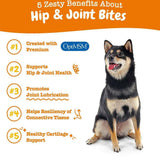Zesty Paws Hip & Joint Mobility Bites Duck Flavored Chews for Dogs (90 ct)