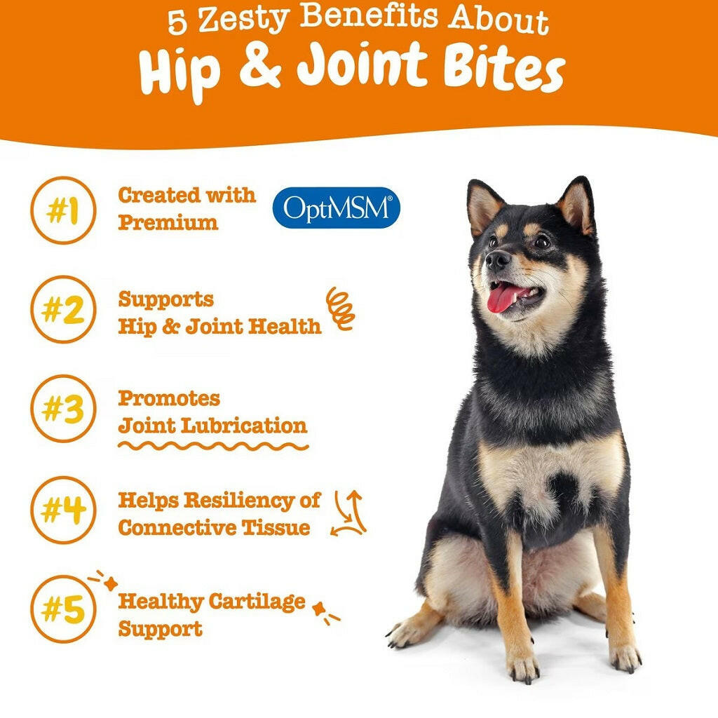 Zesty Paws Hip & Joint Mobility Bites Duck Flavored Chews for Dogs (90 ct)