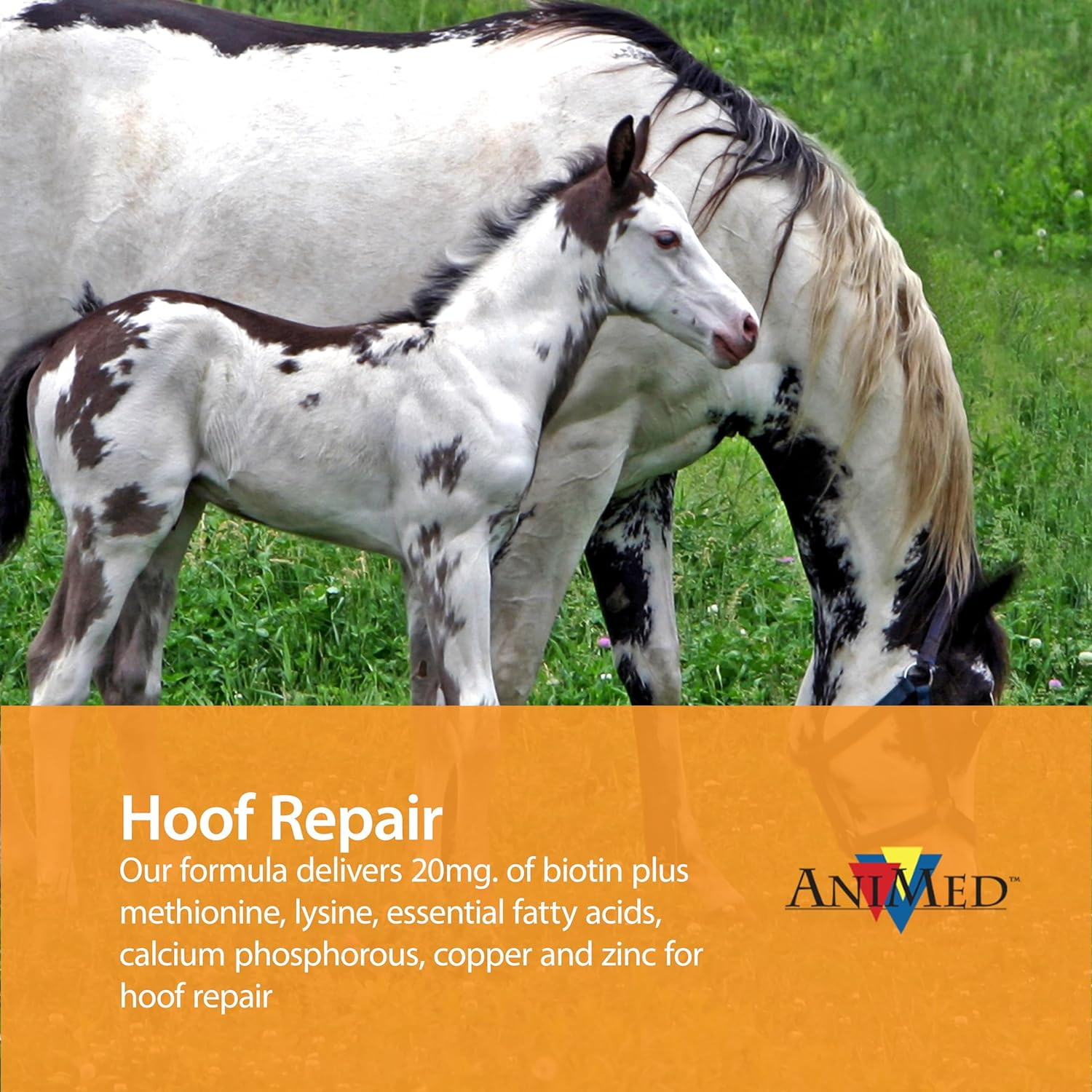 AniMed Remission For Horses