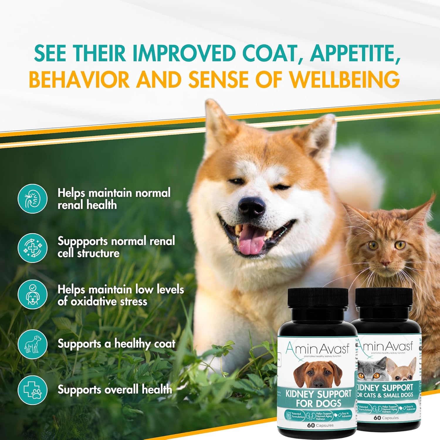 AminAvast Kidney Support for Dogs (60 capsules)