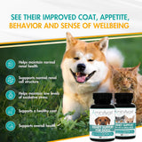 AminAvast Kidney Support for Dogs (60 capsules)