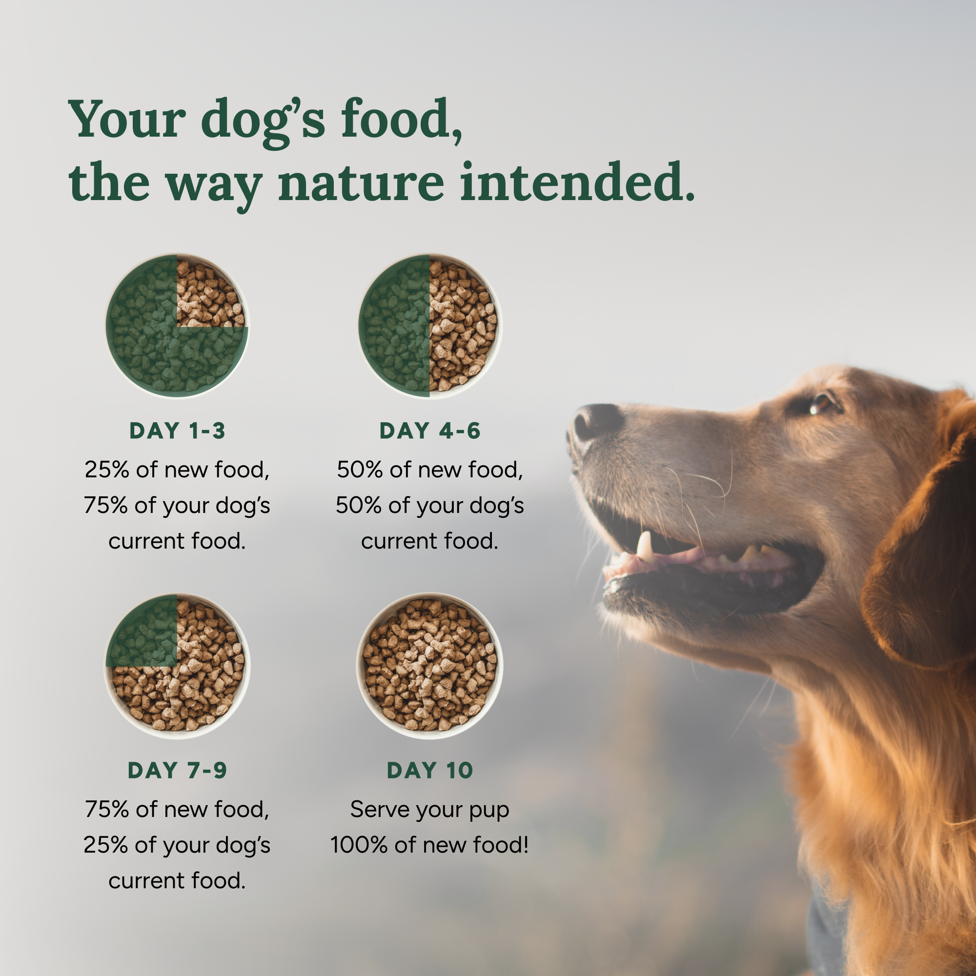 360 Pet Nutrition Chicken Freeze-Dried Raw Complete Meal for Adult Dogs
